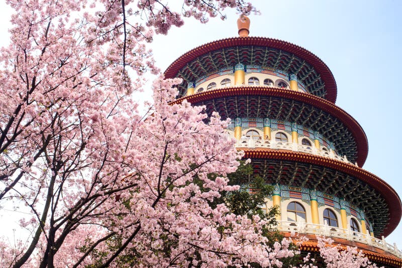 Bella Sakura Garden in Taipei, Taiwan fotografie stock libere da diritti