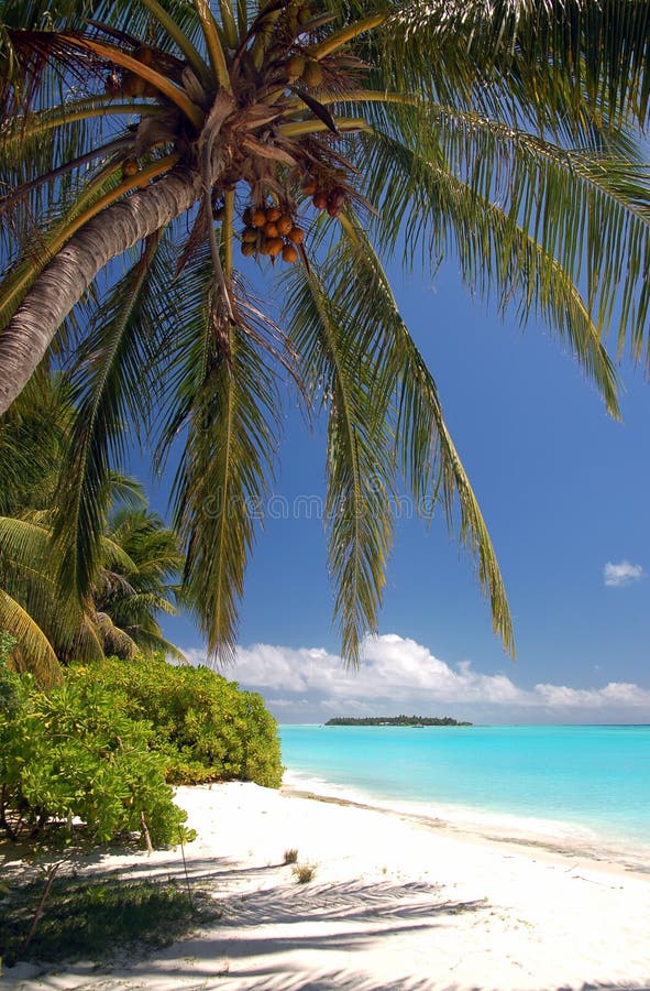 Bella spiaggia tropicale immagini stock libere da diritti