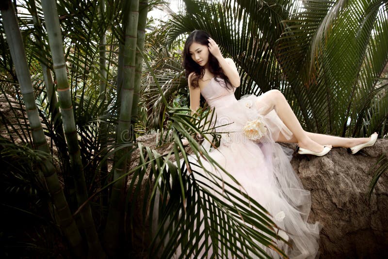 Bella sposa immagini stock Bella sposa immagini stock