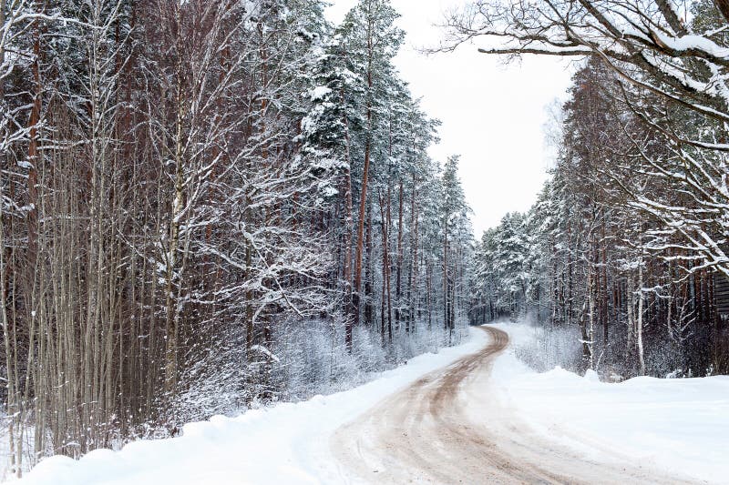 Bella strada rurale congelata di inverno in legno sotto la neve fotografie stock Bella strada rurale congelata di inverno in legno sotto la neve fotografie stock