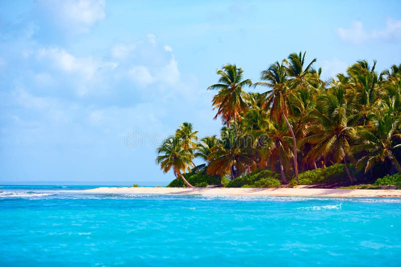 Belle côte tropicale des Caraïbe, île de Saona, République Dominicaine photographie stock Belle côte tropicale des Caraïbe, île de Saona, République Dominicaine photographie stock