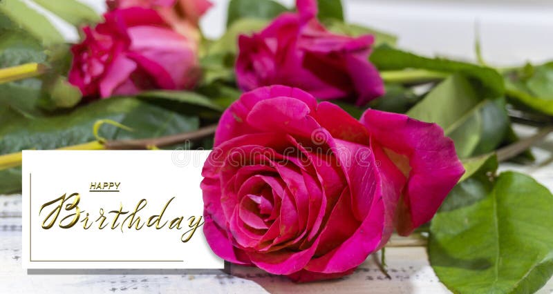 Belle Carte D'anniversaire Avec Des Fleurs Pour Une Femme Ou Une Fille  Photo stock - Image du réception, floral: 268164368