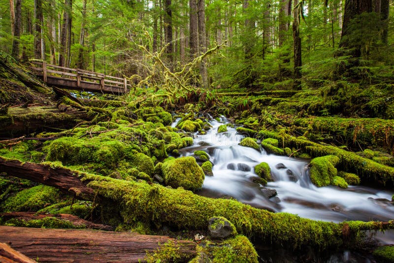 Belle cascade de cascade en traînée de chutes de Sol Duc photos libres de droits Belle cascade de cascade en traînée de chutes de Sol Duc photos libres de droits