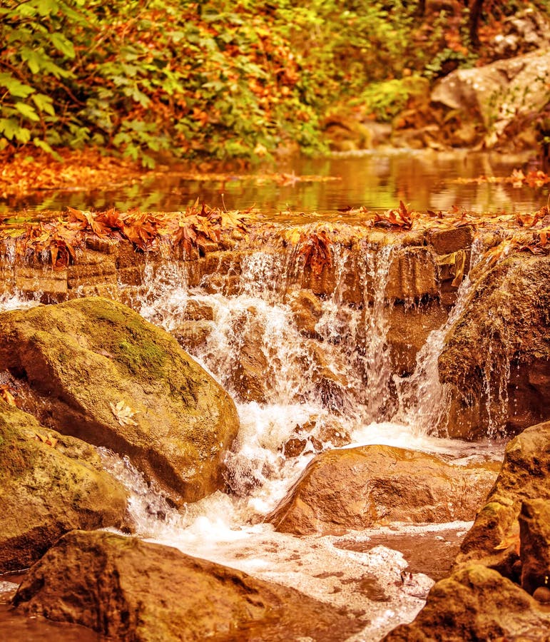 Belle cascade à écriture ligne par ligne dans la forêt images stock Belle cascade à écriture ligne par ligne dans la forêt images stock