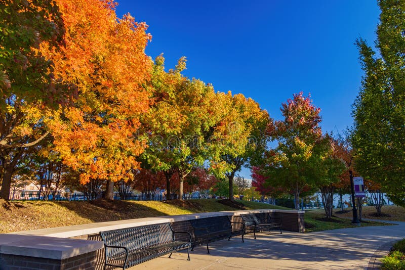 Beautiful fall color at the John Hope Franklin Reconciliation Park, Tulsa, Oklahoma. Beautiful fall color at the John Hope Franklin Reconciliation Park, Tulsa, Oklahoma