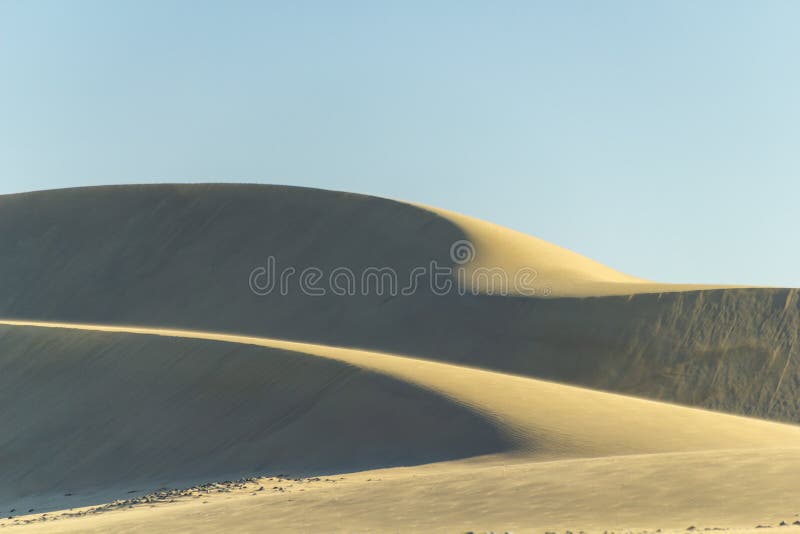Belle dune di sabbia a Maspalomas immagine stock Belle dune di sabbia a Maspalomas immagine stock