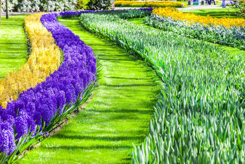 Belle décoration florale en parc de Keukenhof en Hollande image libre de droits Belle décoration florale en parc de Keukenhof en Hollande image libre de droits
