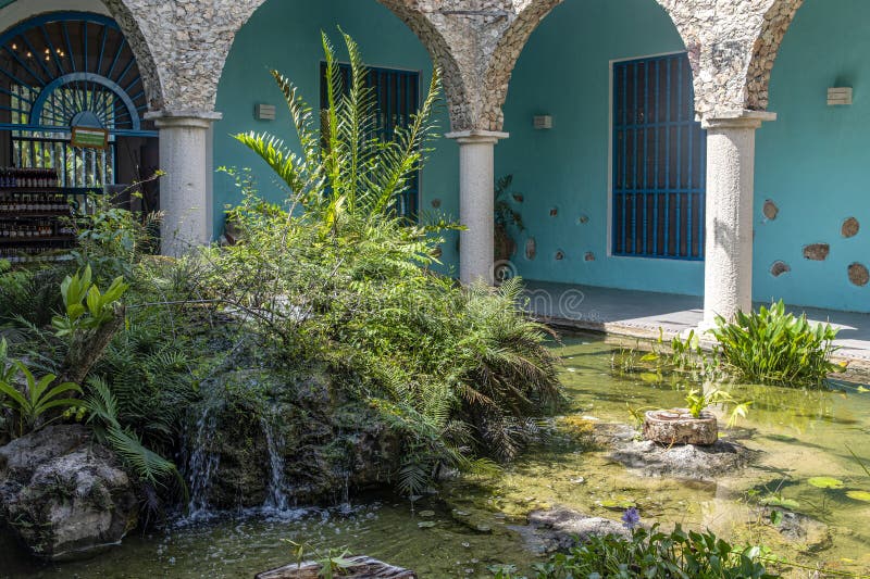 3 plantes mexicaines pour une terrasse hacienda