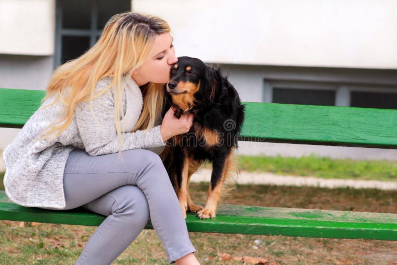 Belle femme avec son petit chien mélangé de race se reposant, embrassant et posant devant la caméra sur le banc en bois au parc d photos stock Belle femme avec son petit chien mélangé de race se reposant, embrassant et posant devant la caméra sur le banc en bois au parc d photos stock