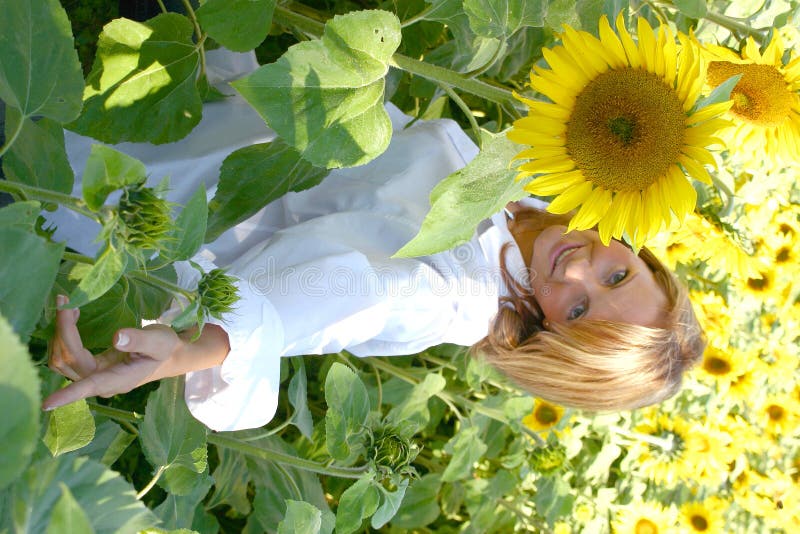 Belle femme de tournesol images stock