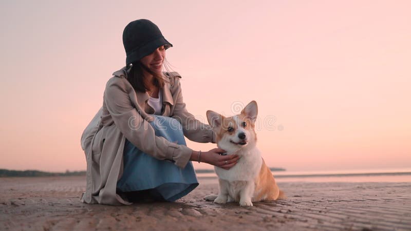Belle femme frotter le chien de corgi tout en se reposant sur la plage de mer le soir. clips vidéos