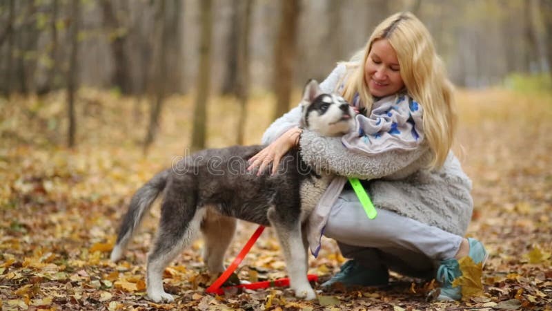 Belle femme marchant avec un chiot husky dans banque de vidéos