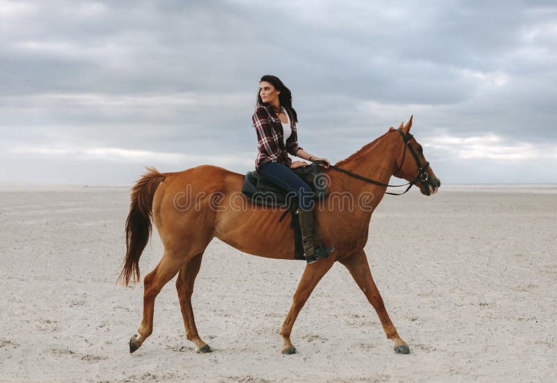 Belle femme montant un cheval dans la soirée photo libre de droits Belle femme montant un cheval dans la soirée photo libre de droits