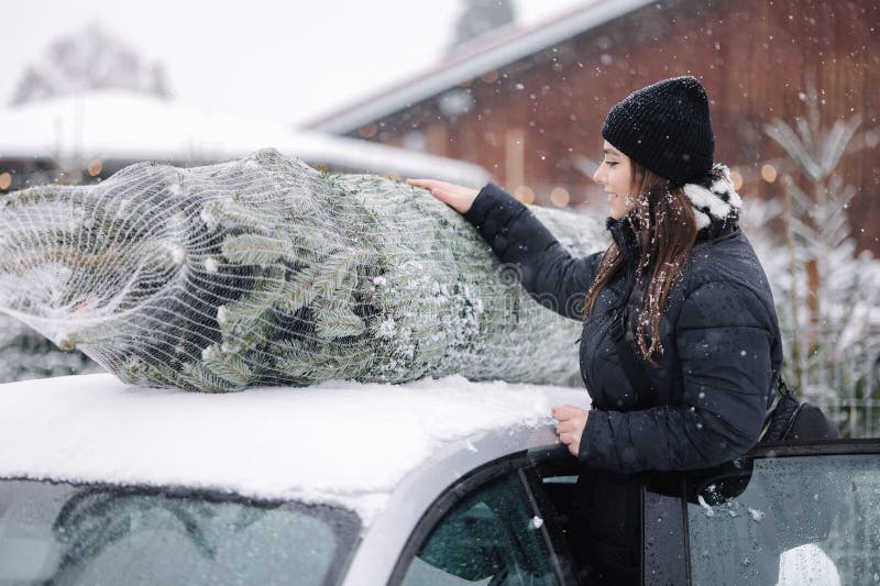 Belle femme qui essaye de mettre un arbre de noël sur le toit de la voiture pour le ramener à la maison. dévastation des sapins vi photographie stock libre de droits