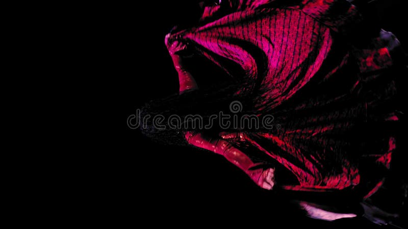 Belle femme tzigane pieds nus avec des cheveux noirs bouclés dans une robe rouge danse sur un fond noir clips vidéos