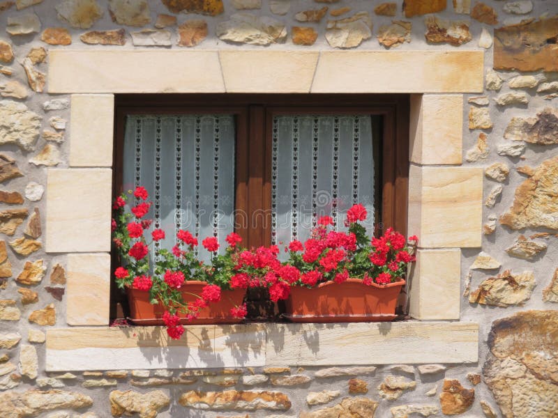 Belle fenêtre en bois décorée des fleurs rouges de couleurs intenses photo libre de droits Belle fenêtre en bois décorée des fleurs rouges de couleurs intenses photo libre de droits