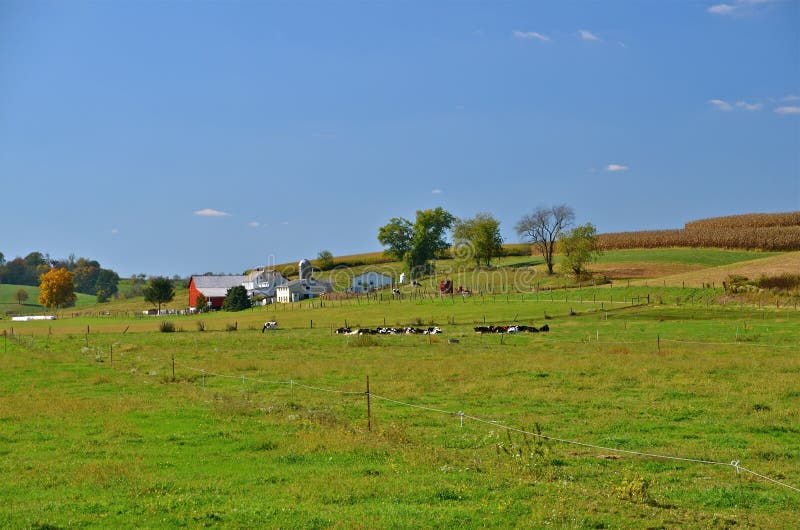Petite Ferme Avec Des Animaux Sur Un Fond Blanc Image stock - Image du