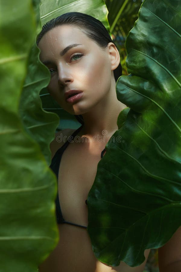 Belle fille été. jeune femme sexy en bikini sous palmier image stock