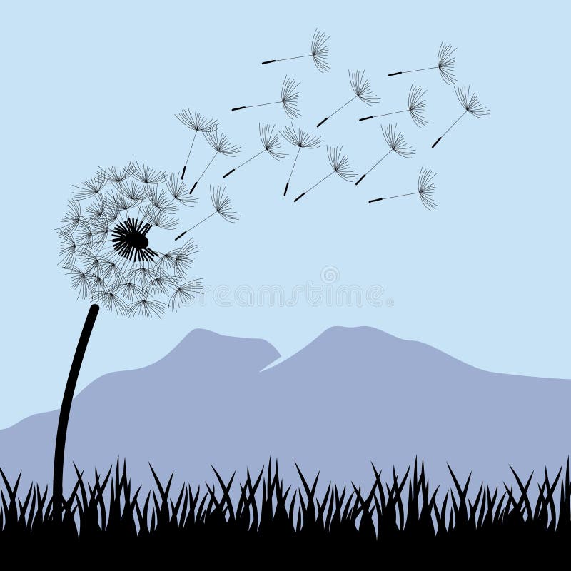 Belle Fleur De Pissenlit Illustration De Vecteur Illustration Du Frais