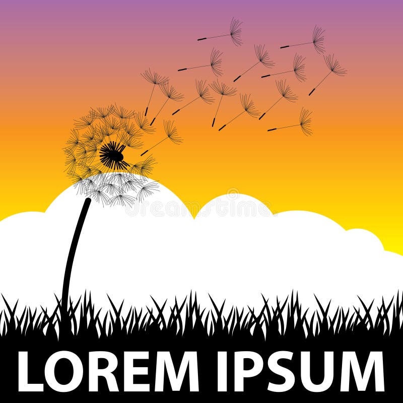 Belle Fleur De Pissenlit Illustration De Vecteur Illustration Du Frais
