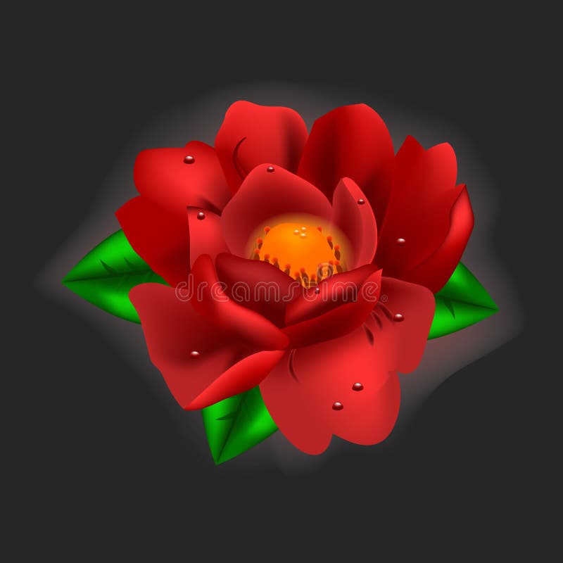 Belle fleur Pivoine rouge illustration stock Belle fleur Pivoine rouge illustration stock