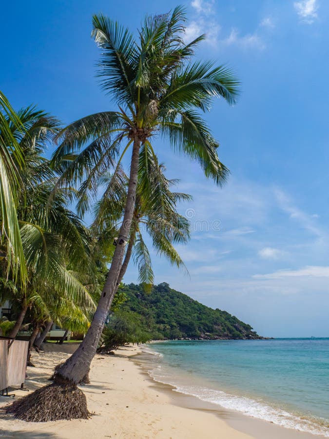 Belle immagini delle spiagge sabbiose su Koh Phangan fotografie stock libere da diritti Belle immagini delle spiagge sabbiose su Koh Phangan fotografie stock libere da diritti