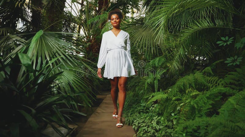 Belle jeune adulte heureuse Africaine Américaine marchant dans la forêt tropicale la main se touchant le palmier vert clips vidéos
