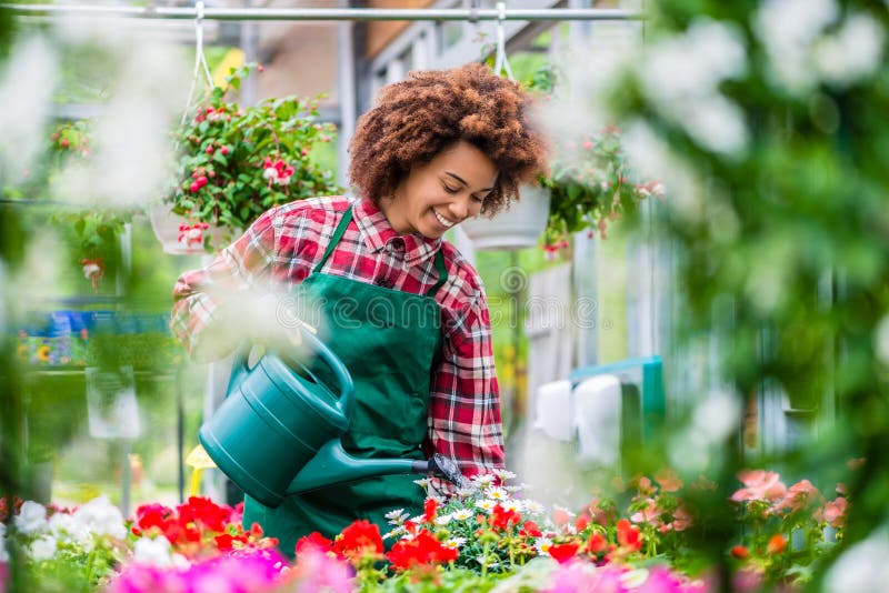 Belle jeune femme arrosant de diverses plantes d'intérieur mises en pot photographie stock libre de droits Belle jeune femme arrosant de diverses plantes d'intérieur mises en pot photographie stock libre de droits