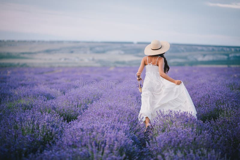 Belle jeune femme courant dans un domaine de lavande image libre de droits Belle jeune femme courant dans un domaine de lavande image libre de droits