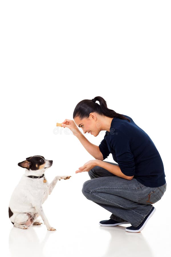 Chien de formation de femme photographie stock Chien de formation de femme photographie stock