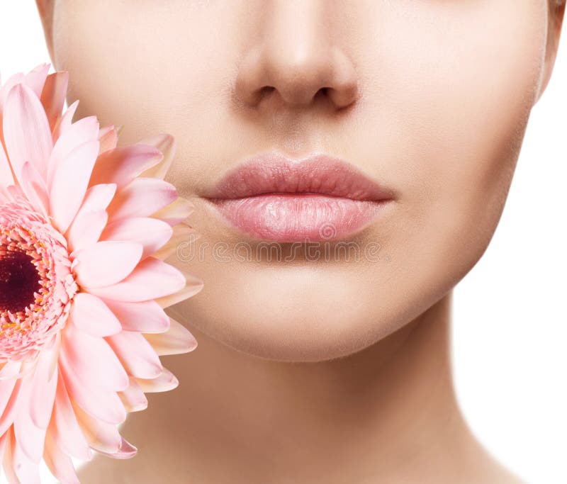 Belle labbra femminili con il primo piano del fiore fotografia stock Belle labbra femminili con il primo piano del fiore fotografia stock