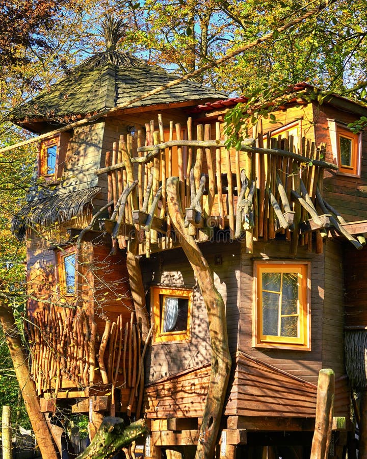 Belle maison d'arbre Un hôtel haut dans les arbres image stock Belle maison d'arbre Un hôtel haut dans les arbres image stock