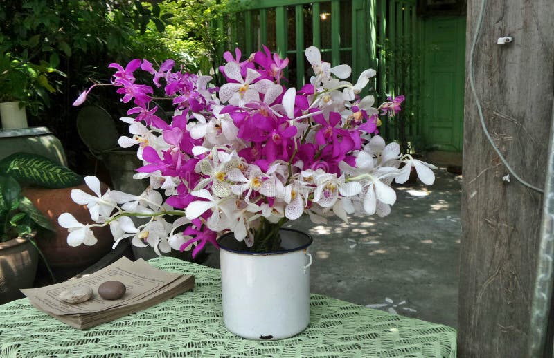 Belle orchidée colorée dans le vase blanc sur la table verte photo libre de droits Belle orchidée colorée dans le vase blanc sur la table verte photo libre de droits