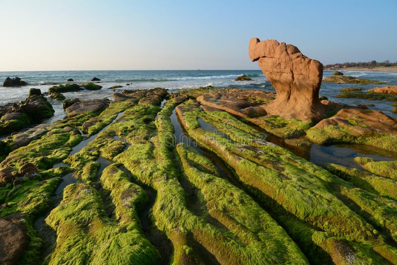 Belle Plage Avec De La Mousse En Binh Thuan  Vietnam  Photo 