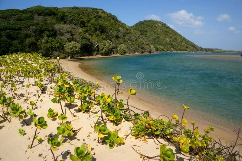 Belle plage à la baie de Kosi, Afrique du Sud images stock Belle plage à la baie de Kosi, Afrique du Sud images stock