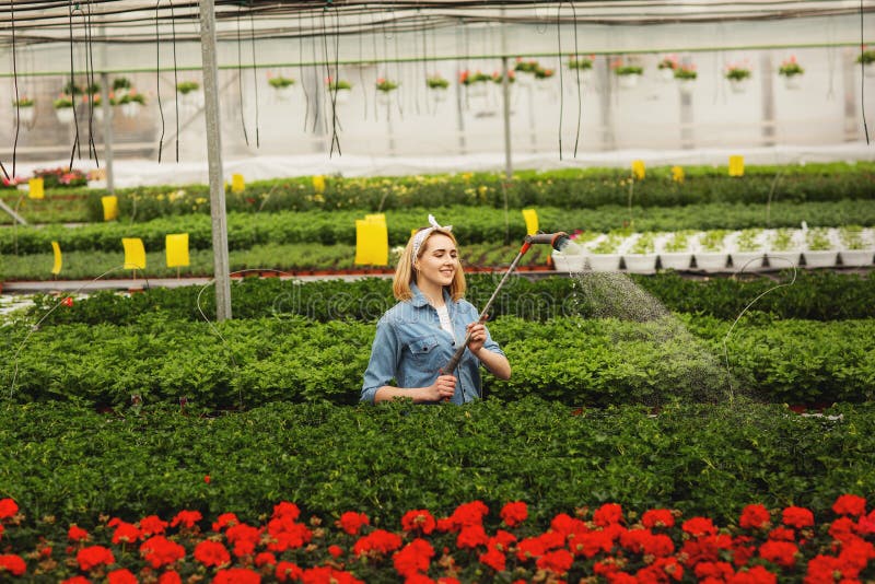 Belle position de sourire de jeune femme ? l'orangerie et aux usines d'arrosage photo stock Belle position de sourire de jeune femme ? l'orangerie et aux usines d'arrosage photo stock