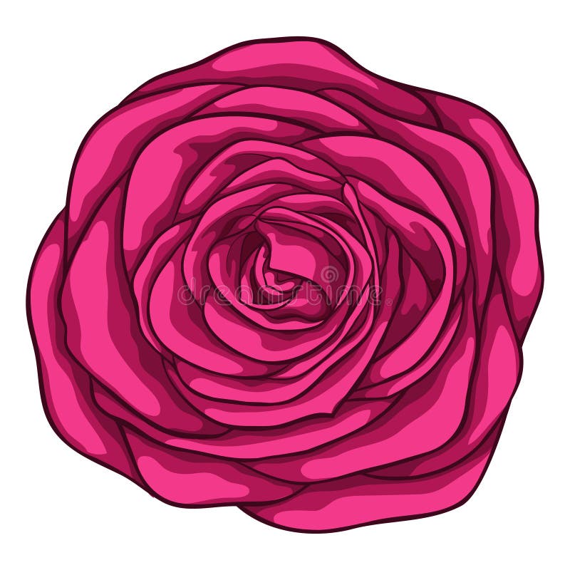 belle rose de rouge d'isolement sur le fond blanc pour des cartes de voeux et des invitations du mariage, anniversaire, Saint-Val illustration libre de droits belle rose de rouge d'isolement sur le fond blanc pour des cartes de voeux et des invitations du mariage, anniversaire, Saint-Val illustration libre de droits