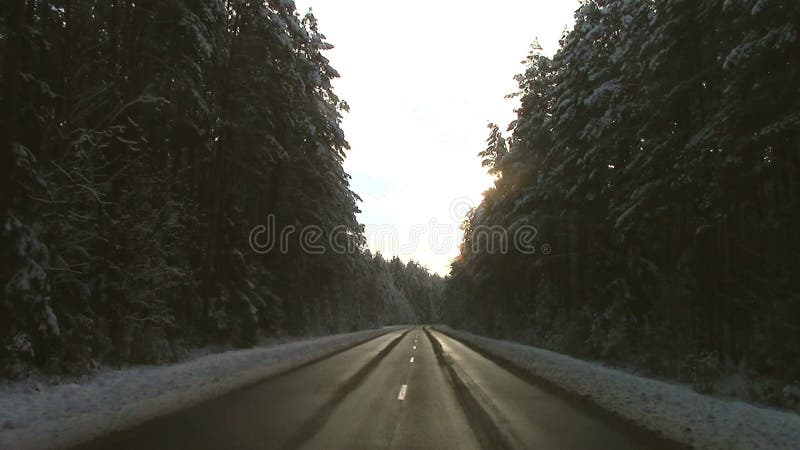 Belle route d'hiver avec des arbres dans la neige avec des voitures clips vidéos