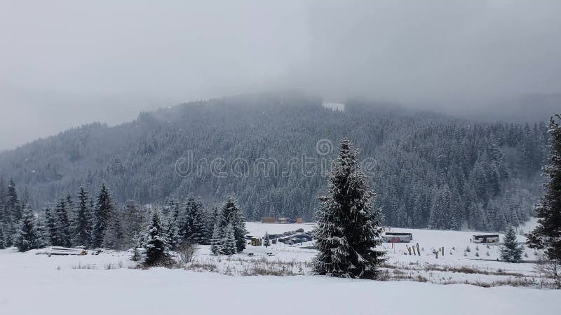 Belle scène de neige hivernale à la station de ski de bukovel dans les carpates ukrainiennes. flocons de neige tombant du ciel. fo banque de vidéos