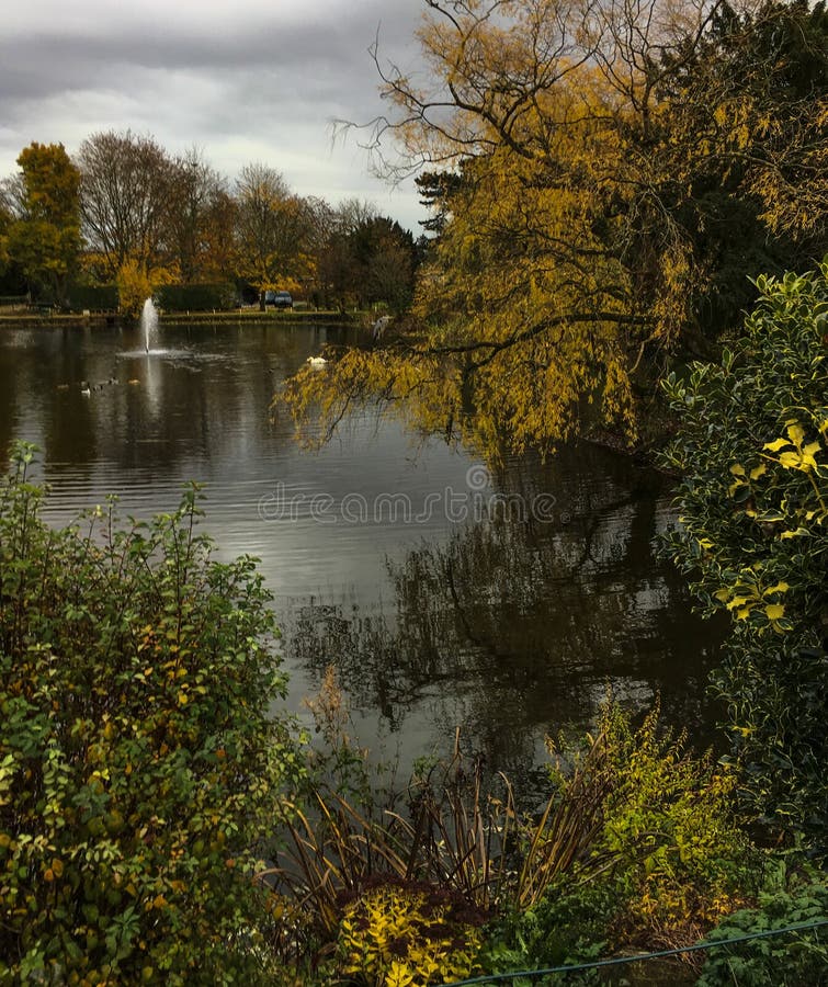 Belle scène tôt paisible d'automne d'étang et d'arbres au parc de Bletchley photos libres de droits Belle scène tôt paisible d'automne d'étang et d'arbres au parc de Bletchley photos libres de droits