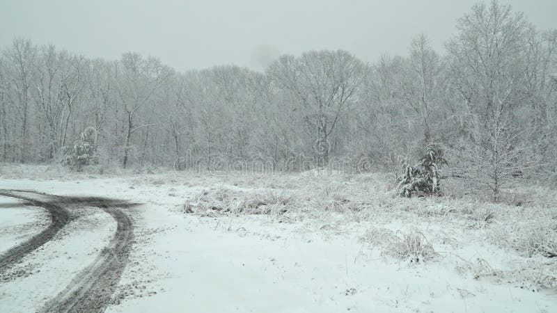 Belle tempête de neige de paysage d'hiver avec des arbres banque de vidéos