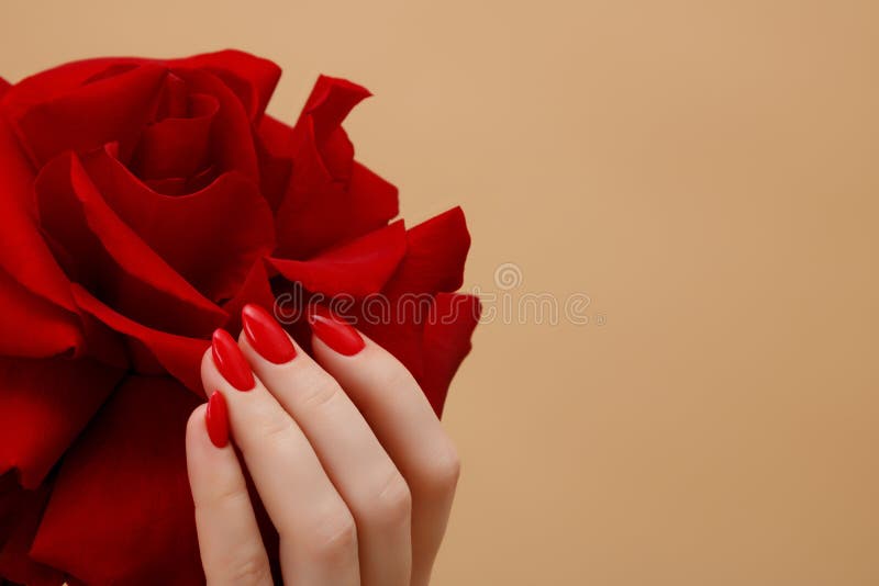 Beautiful female finger nails with red nail closeup on petals . Perfect manicure. High quality photo. Beautiful female finger nails with red nail closeup on petals . Perfect manicure. High quality photo