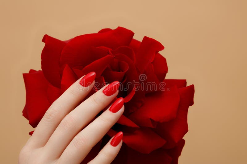 Beautiful female finger nails with red nail closeup on petals . Perfect manicure. High quality photo. Beautiful female finger nails with red nail closeup on petals . Perfect manicure. High quality photo