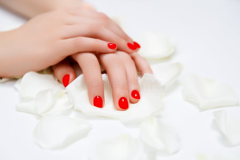 Beautiful female finger nails with red nail closeup on petals. Perfect manicure. High quality photo. Beautiful female finger nails with red nail closeup on petals. Perfect manicure. High quality photo