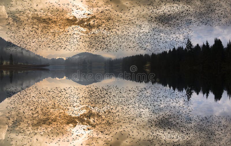 Belle vue alpine avec une cabane agricole près du Geroldsee et du fameux sommet de Karwendel Mittenwald, Bavière, Allemagne. Panorama en haute résolution d'une belle vue alpine près du Geroldsee et du fameux sommet de Karwendel Mittenwald, Bavière, Allemagne