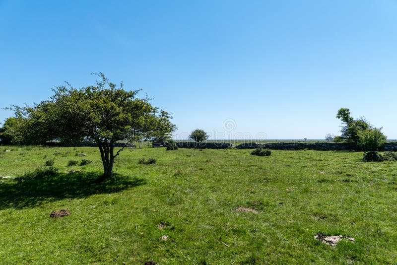 Belle vue d'été de l'extrémité méridionale des sorties de Ã-terre d'île images libres de droits Belle vue d'été de l'extrémité méridionale des sorties de Ã-terre d'île images libres de droits