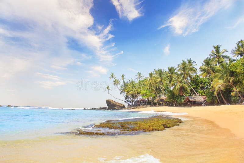 Belle vue de la plage tropicale de Sri Lanka photo libre de droits Belle vue de la plage tropicale de Sri Lanka photo libre de droits