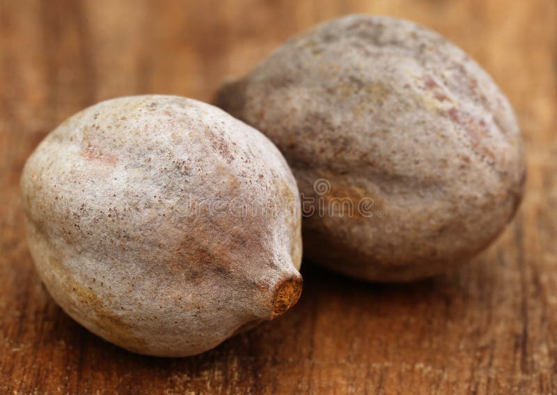 Bellericais de Terminalia ou fruits médicinaux de Bahera photographie stock Bellericais de Terminalia ou fruits médicinaux de Bahera photographie stock