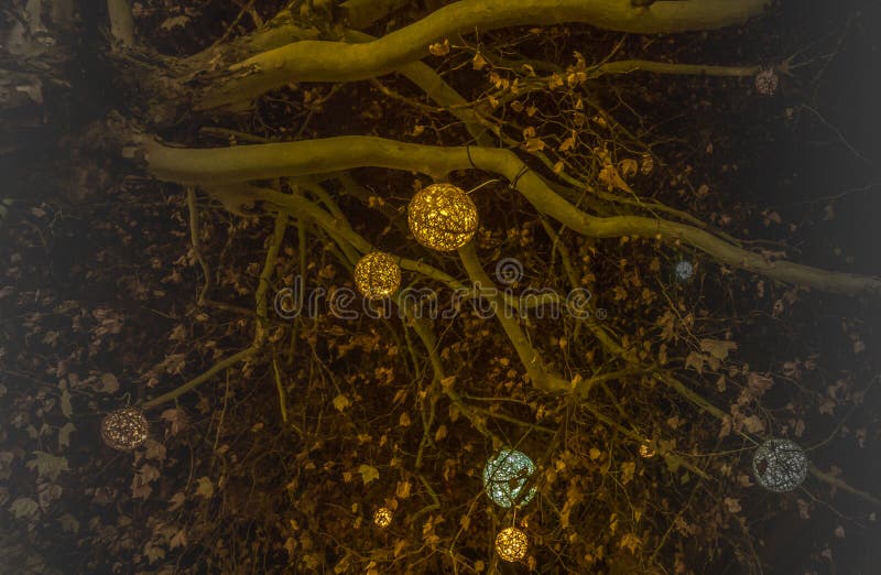 Belles branches d'arbre décorées de Noël avec les boules brillantes à Munich illustration de vecteur Belles branches d'arbre décorées de Noël avec les boules brillantes à Munich illustration de vecteur