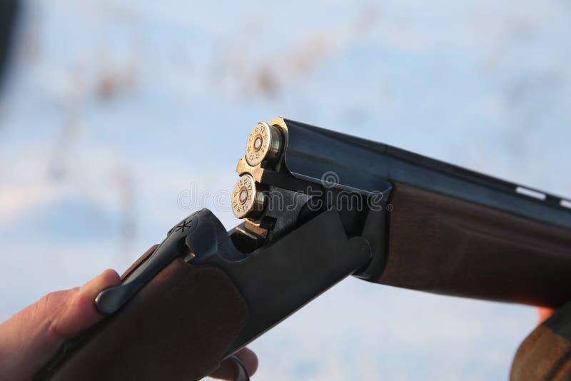 belles cartouches de chasse brillant au soleil ?troit photos libres de droits belles cartouches de chasse brillant au soleil ?troit photos libres de droits